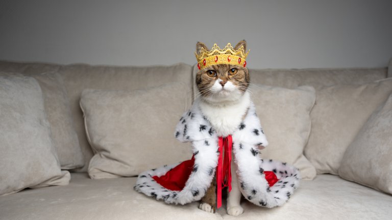 Макар и рядко - да и колкото за снимка