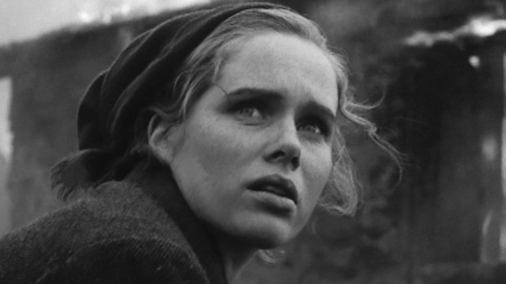 (Shame, 1968)