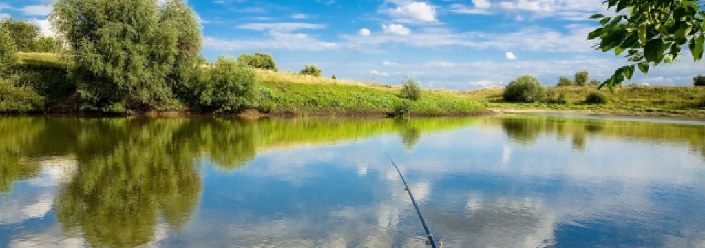 fishing_lake_trees_summer_days_off_fishing_tackle_52150_640x360