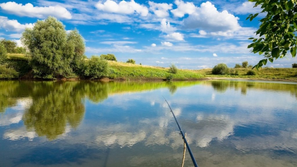 fishing_lake_trees_summer_days_off_fishing_tackle_52150_640x360