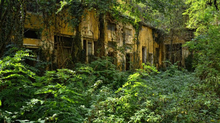 В тази джунгла преди време са се намирали банята и сервизните помещения към основната сграда. Днес те едва се забелязват сред плетеницата от клони и листа