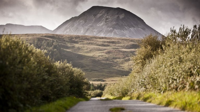 Пасторален пейзаж