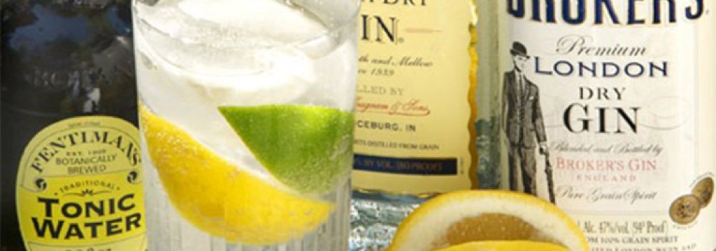 gin-and-tonic-2