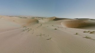 desert