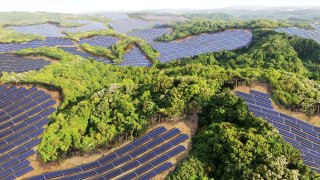 abandoned-golf-green-solar