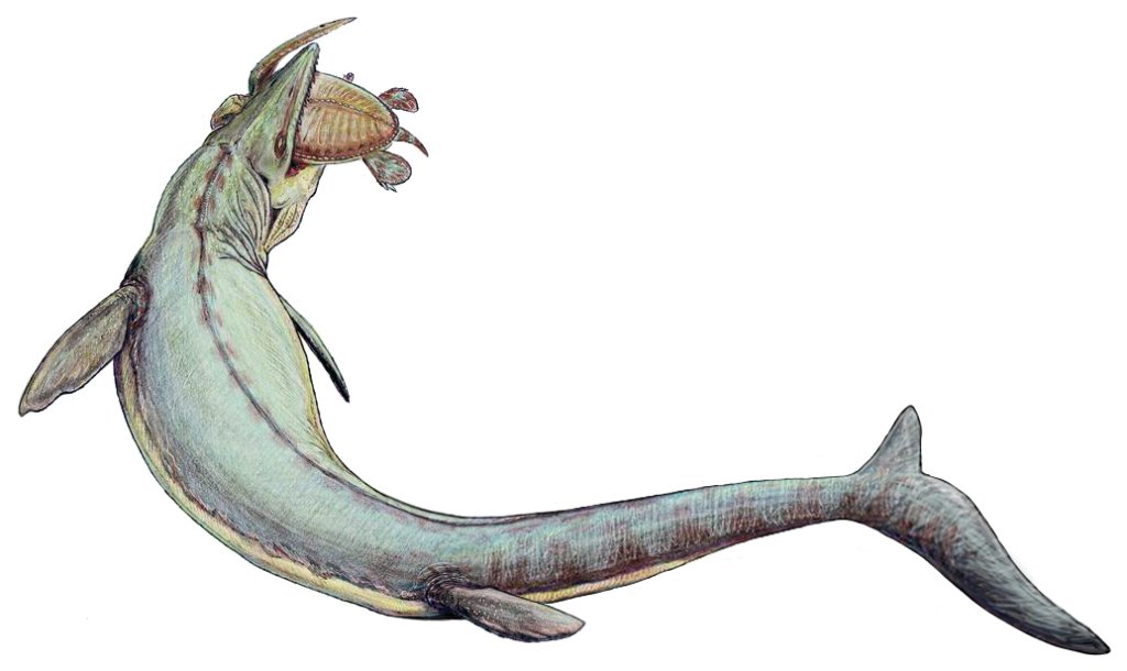 Mosasaurus_21copy