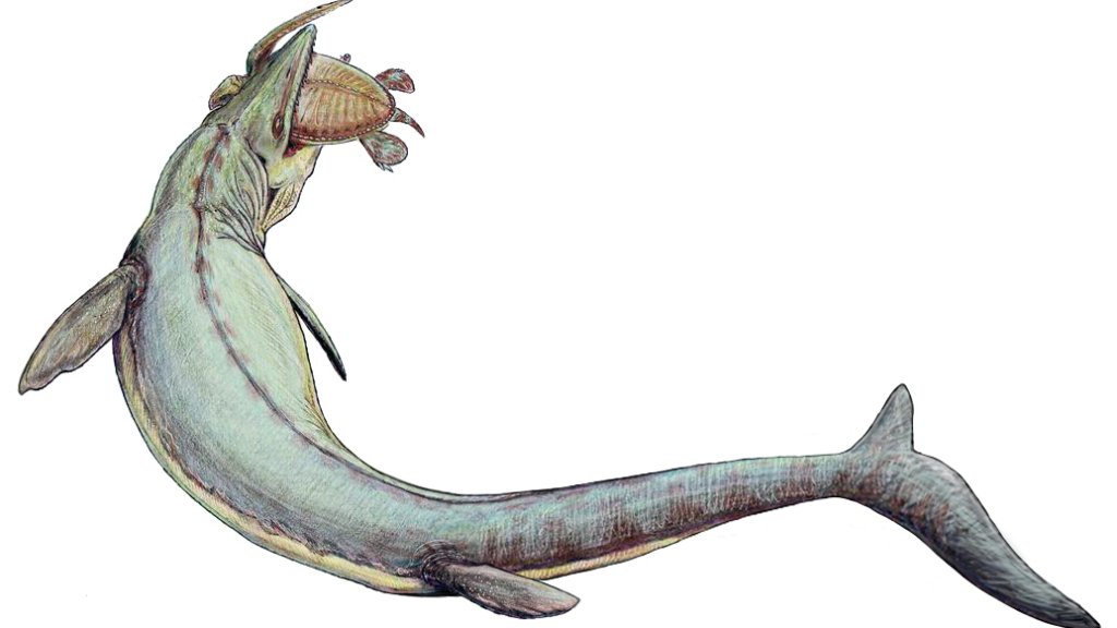 Mosasaurus_21copy