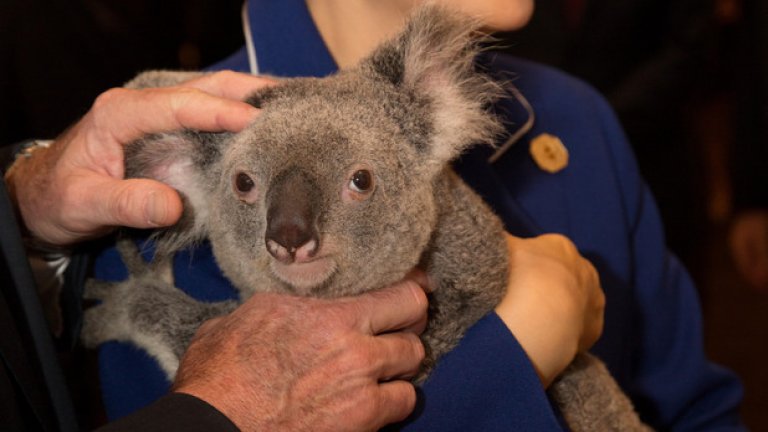Президентът на Южна Корея Пак Кън Хе