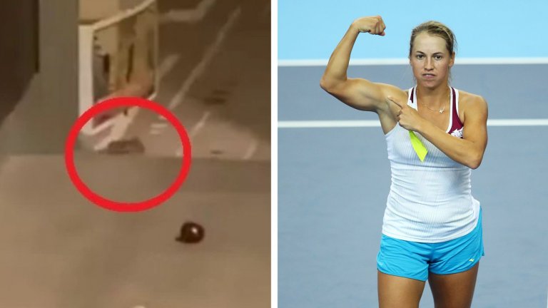 Тенисисти в Австралия се оплакват от мишки в стаите си, полицията им каза да не ги хранят