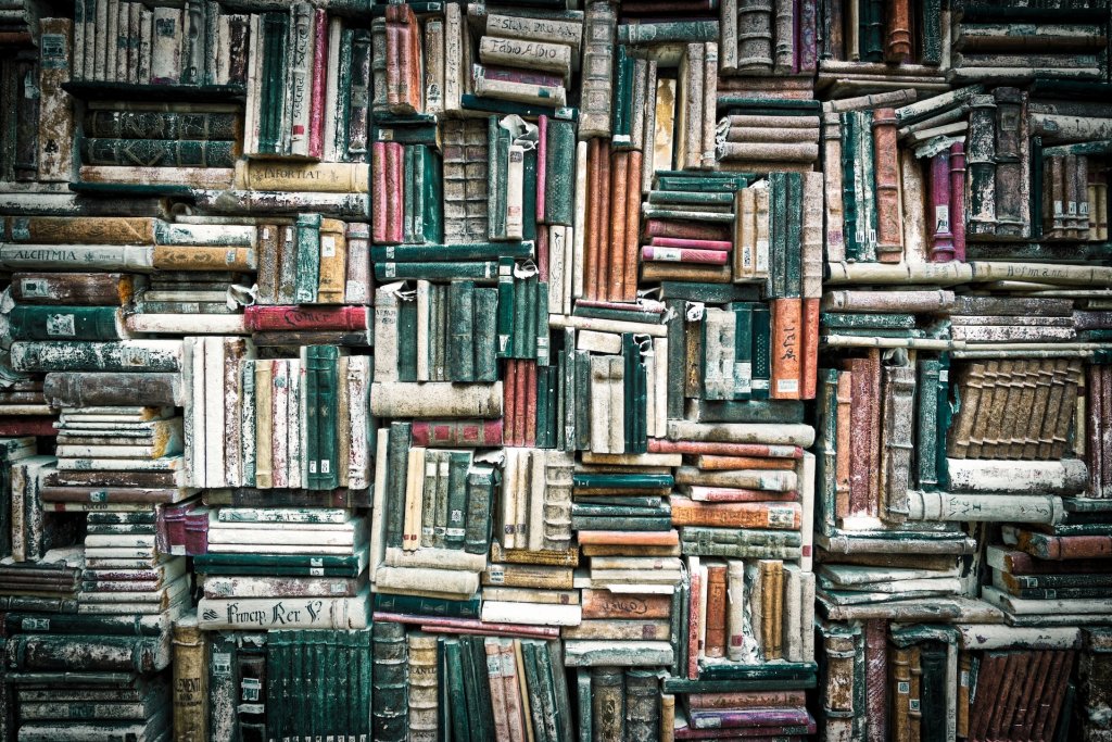 rainhard-wiesinger-NRefXjbOSS0-unsplash