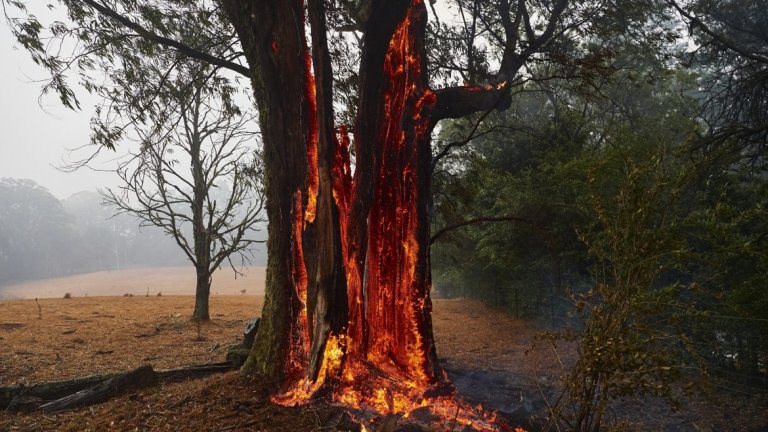 Адът на Земята се намира в Австралия