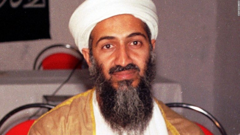 Част от файловете представлява личният дневник на Осама бин Ладен, други показват детайли за връзките на „Ал Кайда" с Иран и ролята на групировката в бунтовете в Ирак.

