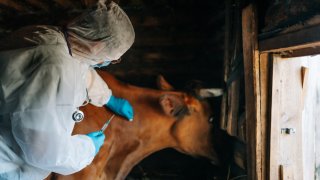 Под медицинско наблюдение са 21 души, които са били в контакт с тримата