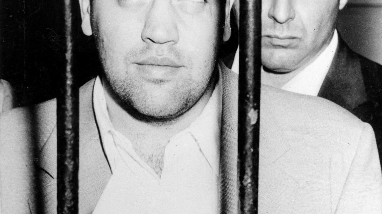 Историята за лъжите на Лудия дон и още симулатори