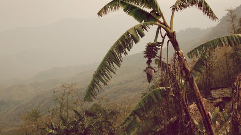 Воините са се превърнали в примерни християни, които редовно посещават църквата и се молят - около 90% от населението на Нагаланд са християни, а 75% са баптисти.