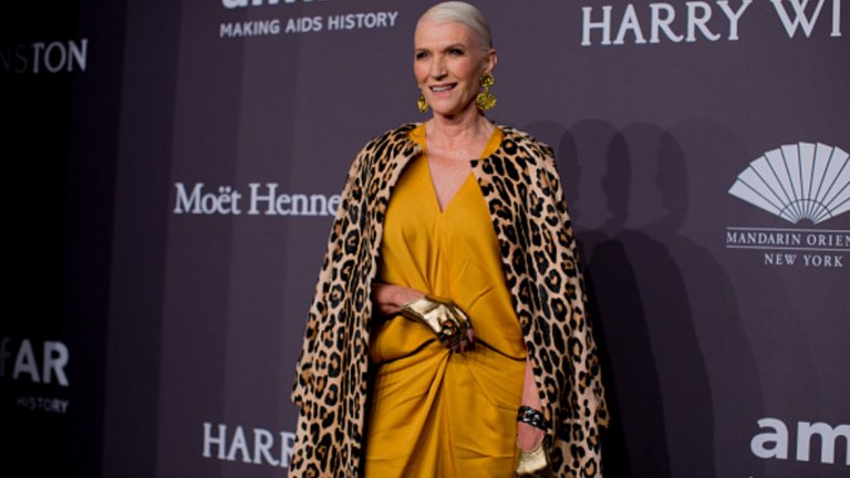 Мей Мъск е родена на 19 април 1948 г.