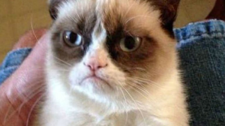 "Това, което не те убива...дано опита отново"