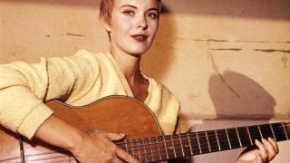 Джийн Сийбър, Черните пантери и ФБР в една зловеща битка