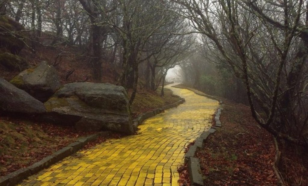 Път от жълти павета в изоставения парк "Магьосникът от Оз" в Северна Каролина, САЩ

Снимка: Abandoned
