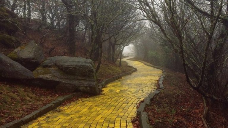 Път от жълти павета в изоставения парк "Магьосникът от Оз" в Северна Каролина, САЩ

Снимка: Abandoned