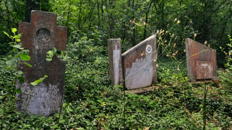 Само пойните птички се осмеляват да нарушат покоя на потъналото в тишина гробище