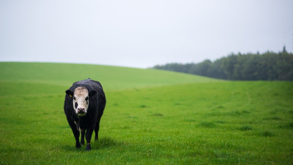 gary-ellis-jOPnG1_iTkY-unsplash