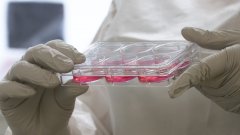 Дори производителите са изумени