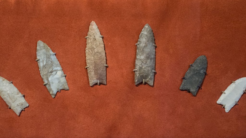 Clovis_spearpoints_-_Cleveland_Museum_of_Natural_History