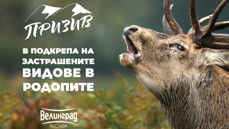 Вследствие на дарението, до момента над 40 eлена лопатар и 7 благородни еленa успешно бяха презаселени в Родопите.