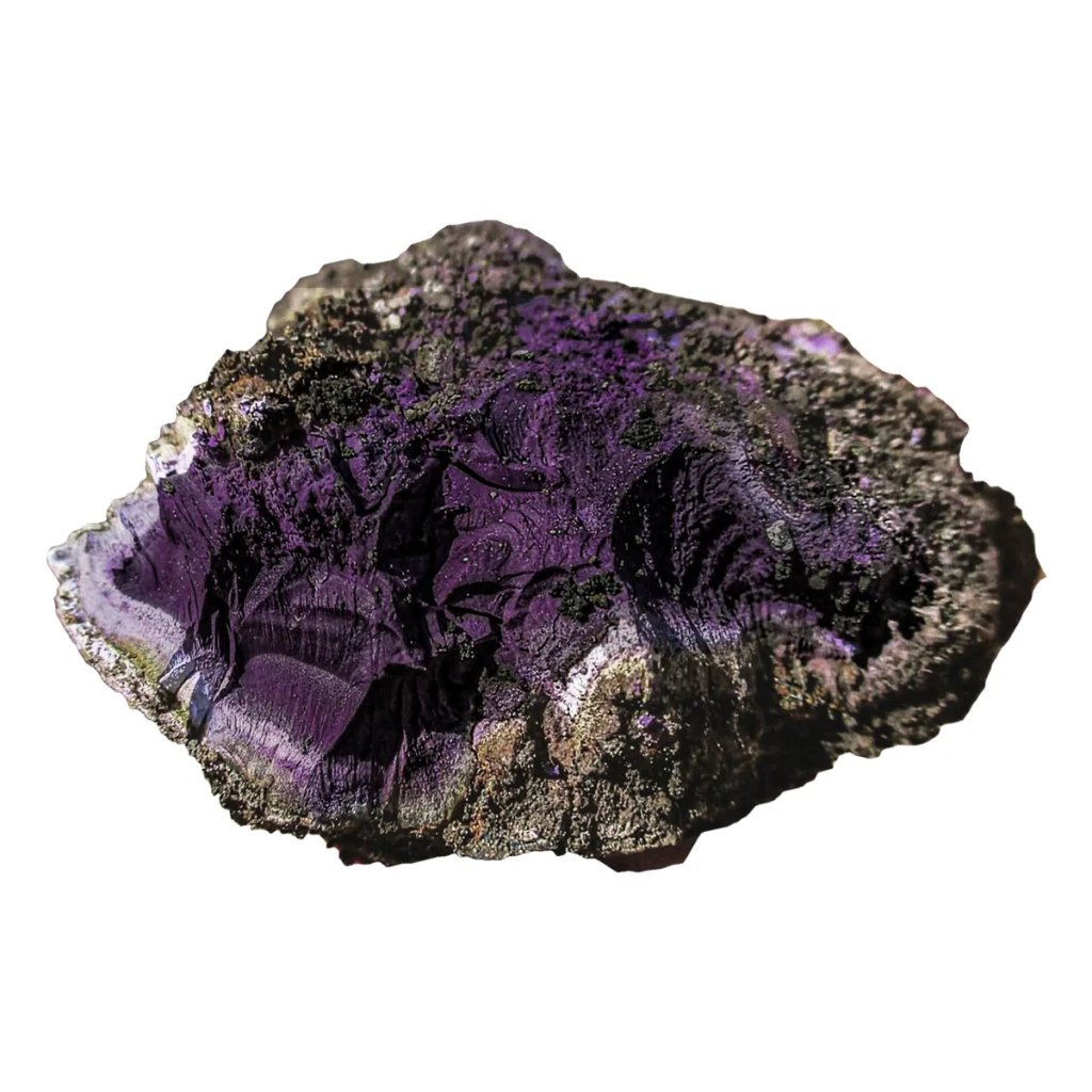 tyrian-purple-l