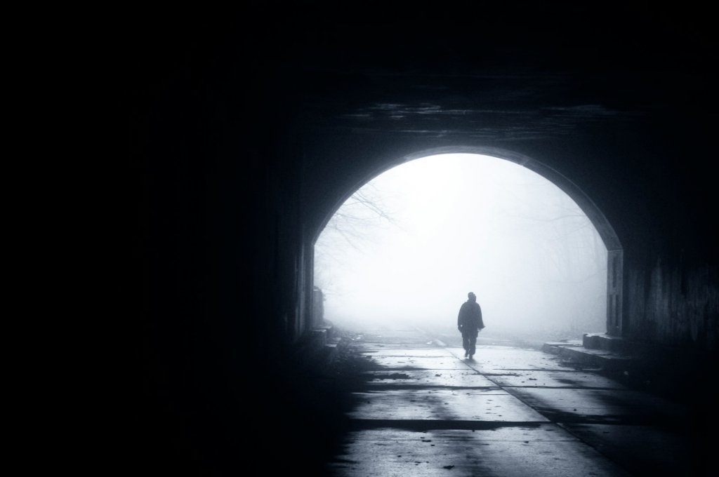 chris-buckwald-RXWgx93tz8w-unsplash