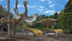 Рогатият динозавър в Европа е бил доста по-малък от събратята си в САЩ и Азия 