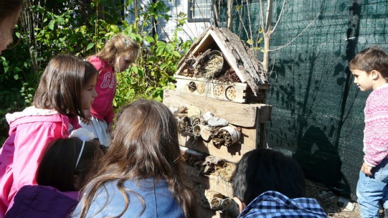 Учителки бяха довели децата от детска градина, които да видят градината и "хотелите" за насекоми