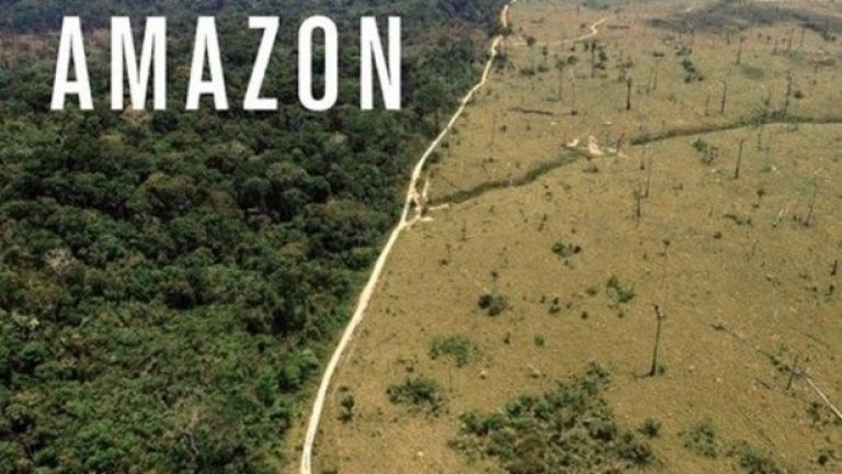 "Спасете амазонските дъждовни гори"