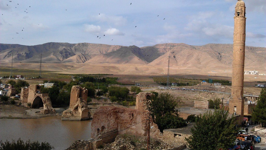 IMAG0252