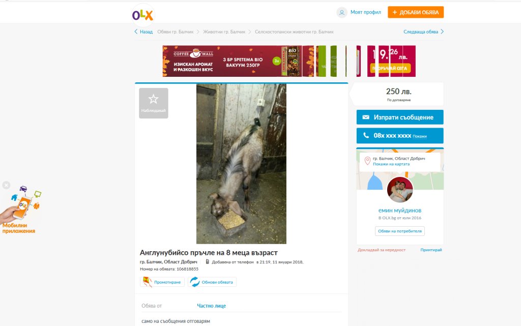 Супер оферта за пръчле