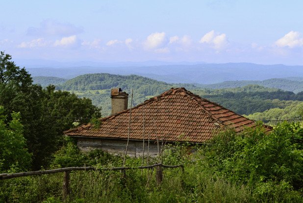 Безбрежното зелено море на Странджа обргъща тази опустяла къща в село Българи.