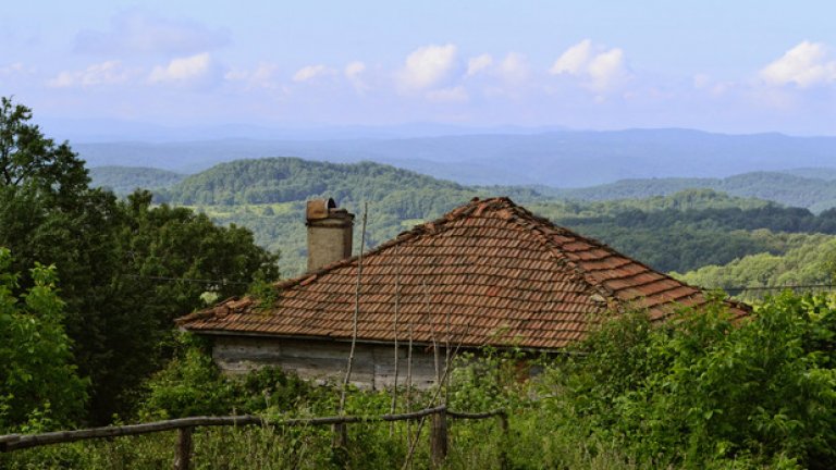 Безбрежното зелено море на Странджа обргъща тази опустяла къща в село Българи.