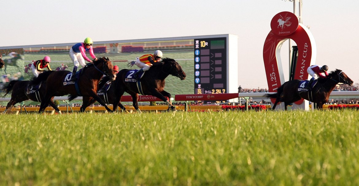 Купа на Япония

Провежда се ежегодно на конното трасе на Токио и участват само специално поканените 18 състезатели. Те си разделят 5.8 млн. долара фонд. В последните години на това състезание тотално доминират домакините, като от 2008 г. насам всички победители и техните дресьори са от Япония. В момента титлата се държи от коня Бадемоко око, който донесе на своя собственик 2.7 млн. за успеха си.