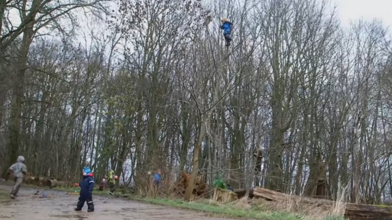 Те обикалят свободно из природата, дялкат пръчки с истински ножове, катерят се по кални възвишения и по високи дървета (като това на кадъра).