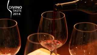 Divino Taste-7