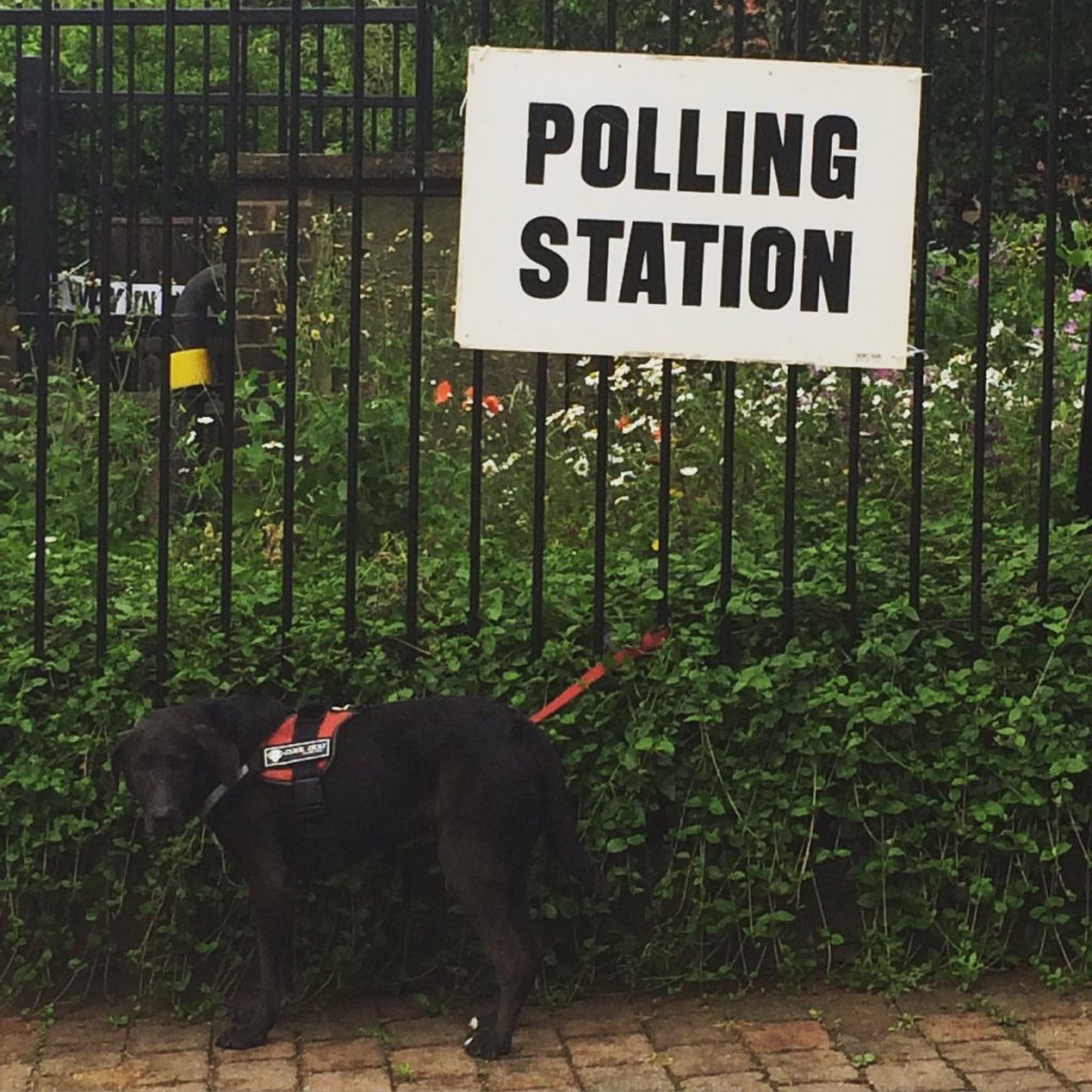 #dogsatpollingstations