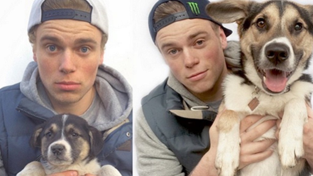 gus kenworthy