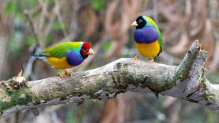 david-clode-3YEMFXYBgu8-unsplash