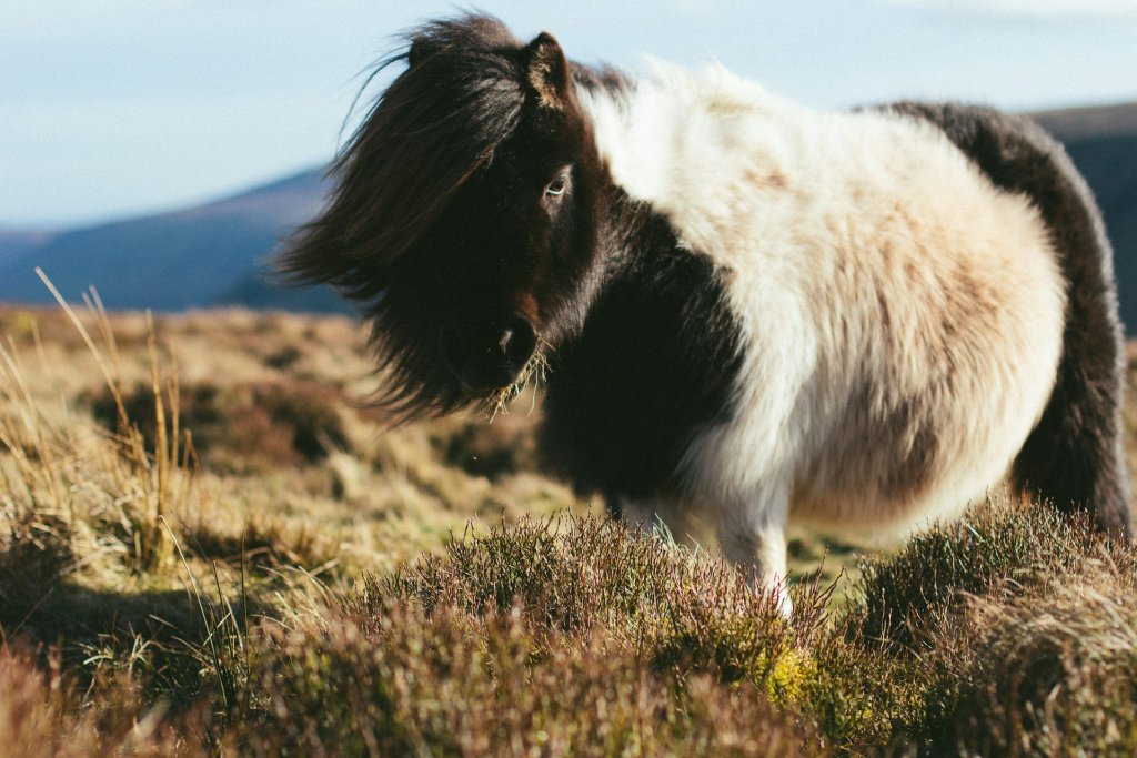 mike-erskine-tnfipE2Pwdw-unsplash