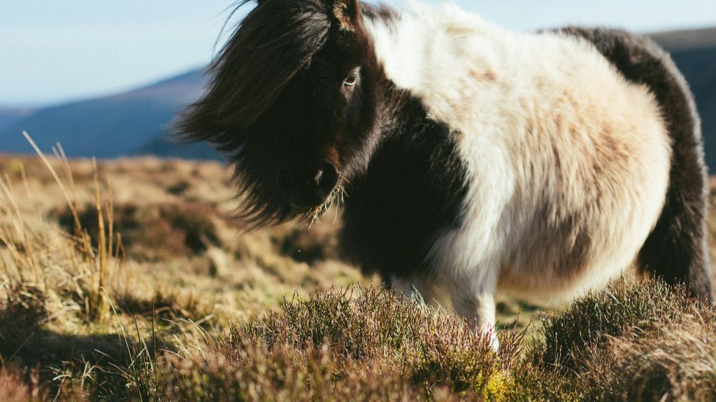 mike-erskine-tnfipE2Pwdw-unsplash