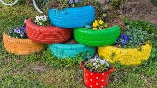 Утайката от кафе е универсален продукт, а кутиите от яйца - чудесни за разсад