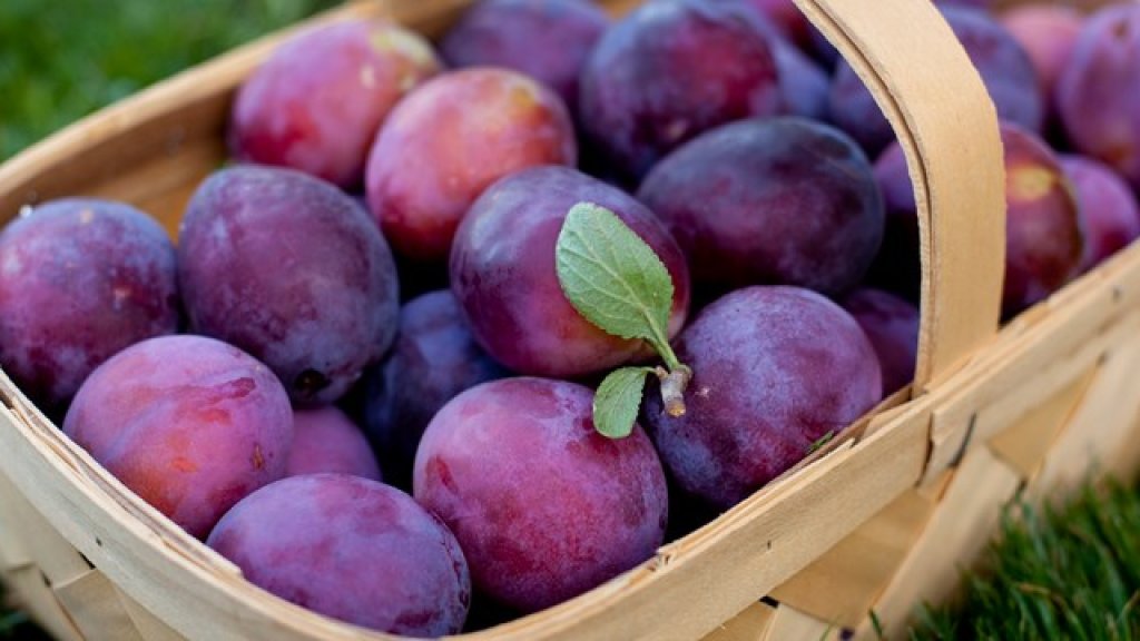 plum
