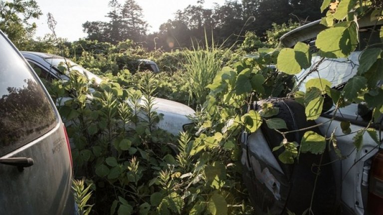 Преди няколко години Подниесински снима и зоната около Чернобил. Фотографът признава, че не е мислел, че подобно бедствие може да се случи на друго място, и определено не в Япония