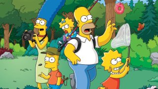 the simpsons семейство симпсън